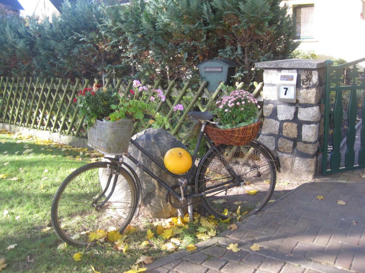Reitwein Pension Zum Weissen Hirsch מראה חיצוני תמונה