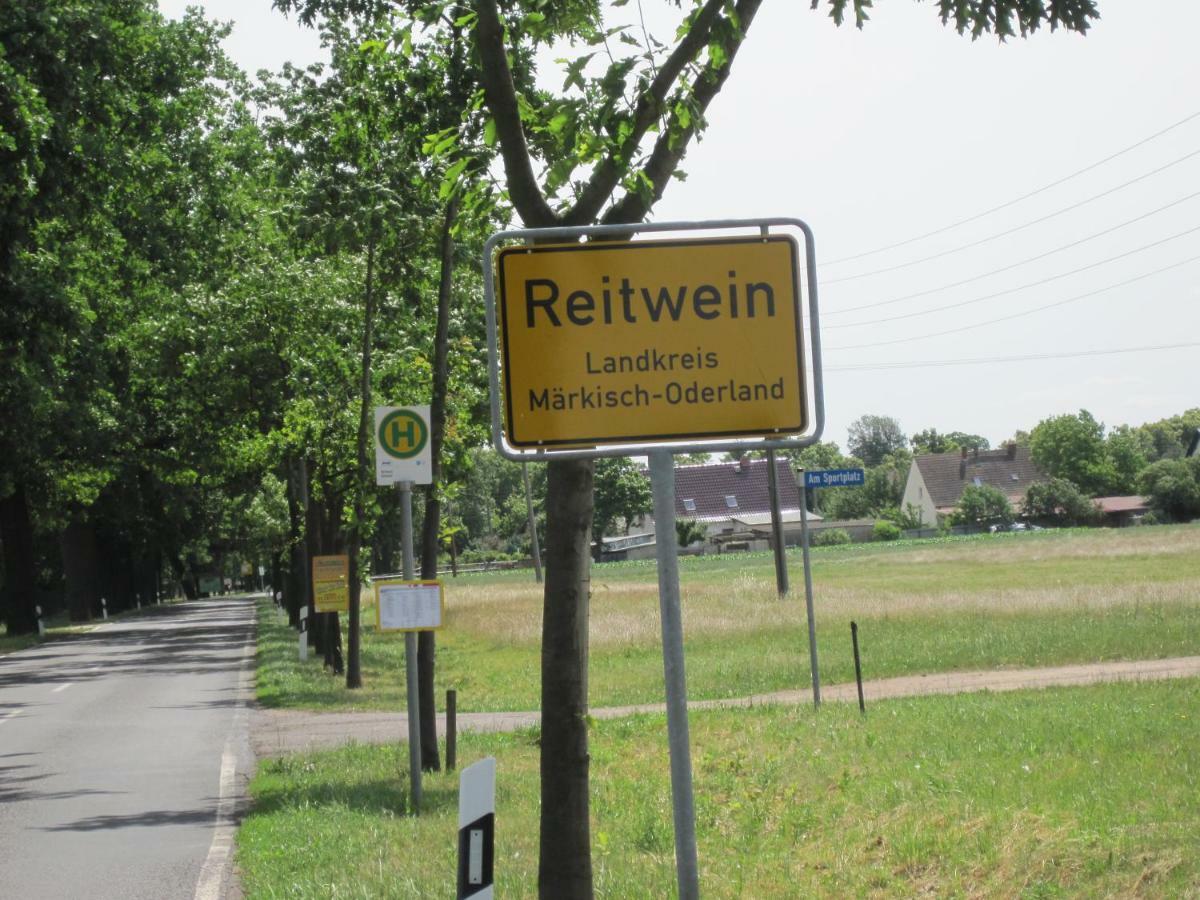 Reitwein Pension Zum Weissen Hirsch מראה חיצוני תמונה