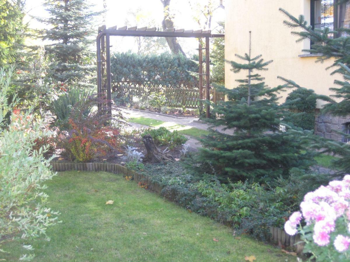 Reitwein Pension Zum Weissen Hirsch מראה חיצוני תמונה