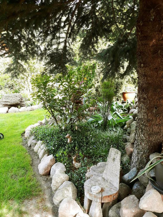 Reitwein Pension Zum Weissen Hirsch מראה חיצוני תמונה